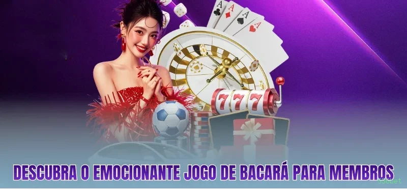 556bet Logo